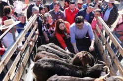 CRIANCEROS DE MONTE PATRIA RECIBEN ALIMENTACIÓN ESPECIAL PARA DAR MAYOR ENERGÍA Y NUTRICIÓN A LOS ANIMALES