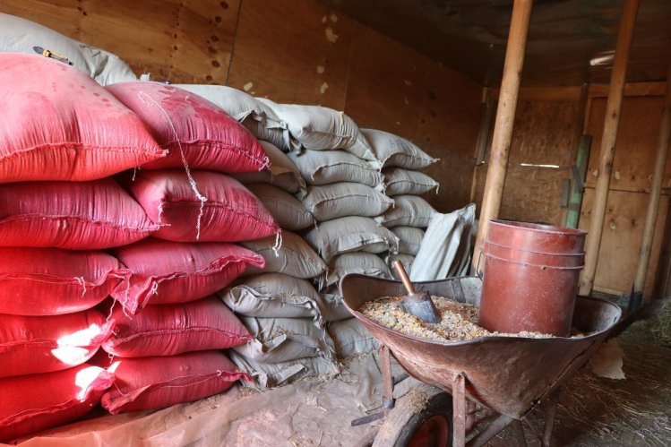 CRIANCERO DE OVALLE MUESTRA SU COMPLETO SISTEMA PARA PRODUCIR EN EL SECANO