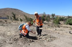 GOBIERNO GESTIONA 200 CUPOS LABORALES DE EMERGENCIA PARA FAMILIAS AFECTADAS POR LA SEQUÍA