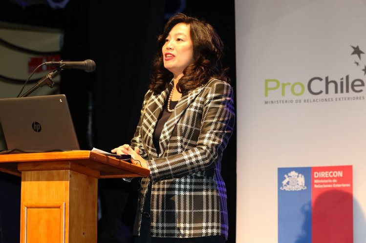 PRIMER ENCUENTRO CIUDADANO DE APEC EN LA REGIÓN DE COQUIMBO ANALIZÓ CASOS EXITOSOS DE CIUDADES PUERTO