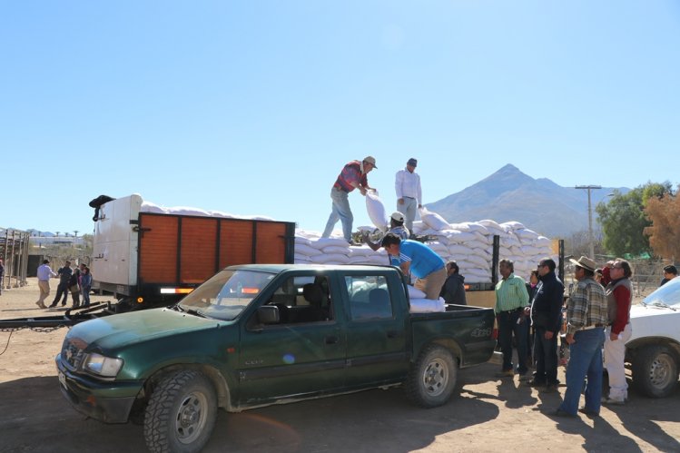 GOBIERNO ANTICIPA LA DESPARASITACIÓN DE GANADO CAPRINO CON MIRAS A LAS PRÓXIMAS VERANADAS