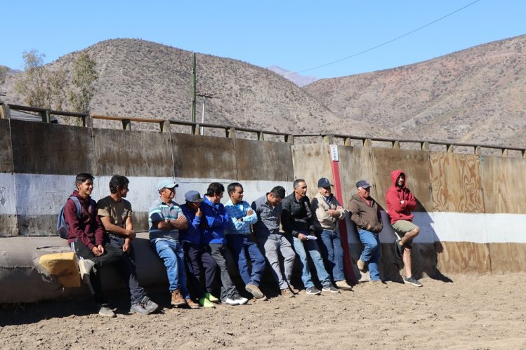 GOBIERNO ANTICIPA LA DESPARASITACIÓN DE GANADO CAPRINO CON MIRAS A LAS PRÓXIMAS VERANADAS