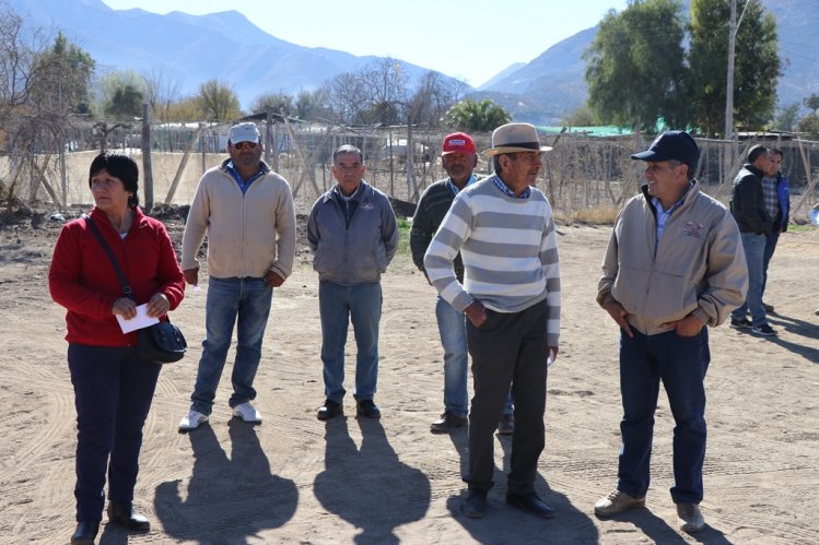 GOBIERNO ANTICIPA LA DESPARASITACIÓN DE GANADO CAPRINO CON MIRAS A LAS PRÓXIMAS VERANADAS