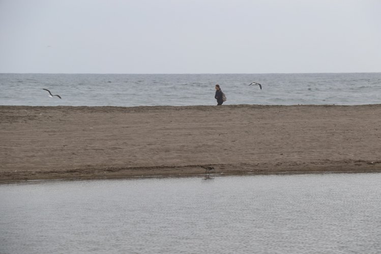 GOBIERNO INVITA A LA CIUDADANÍA A SER PARTÍCIPE DE UNA DE LAS PRINCIPALES CUMBRES MEDIOAMBIENTALES