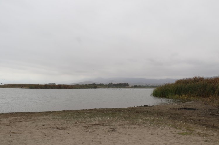 GOBIERNO INVITA A LA CIUDADANÍA A SER PARTÍCIPE DE UNA DE LAS PRINCIPALES CUMBRES MEDIOAMBIENTALES