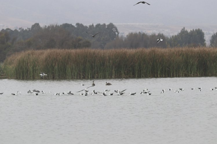 GOBIERNO INVITA A LA CIUDADANÍA A SER PARTÍCIPE DE UNA DE LAS PRINCIPALES CUMBRES MEDIOAMBIENTALES