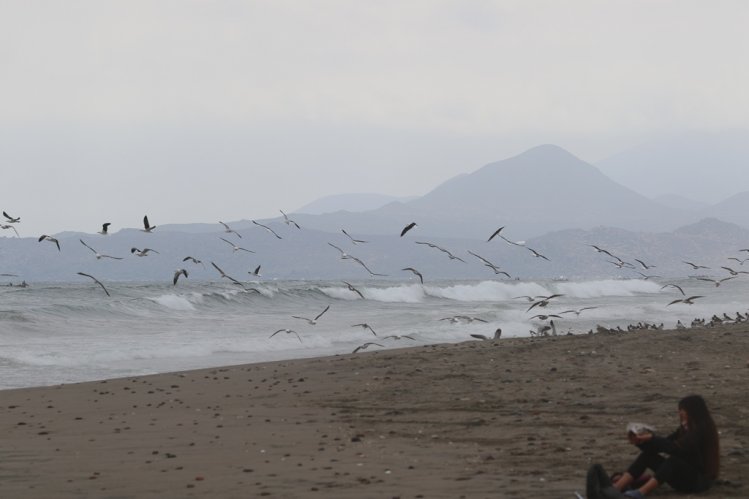 GOBIERNO INVITA A LA CIUDADANÍA A SER PARTÍCIPE DE UNA DE LAS PRINCIPALES CUMBRES MEDIOAMBIENTALES