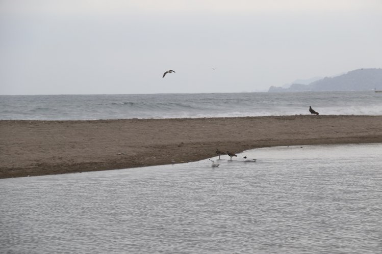 GOBIERNO INVITA A LA CIUDADANÍA A SER PARTÍCIPE DE UNA DE LAS PRINCIPALES CUMBRES MEDIOAMBIENTALES