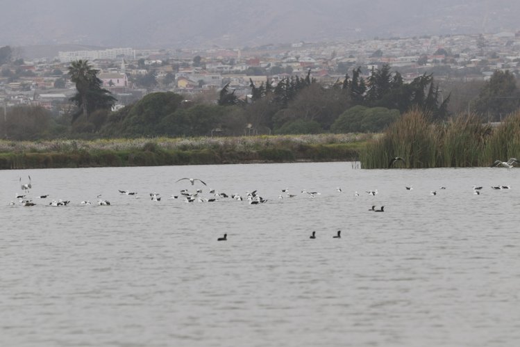 GOBIERNO INVITA A LA CIUDADANÍA A SER PARTÍCIPE DE UNA DE LAS PRINCIPALES CUMBRES MEDIOAMBIENTALES