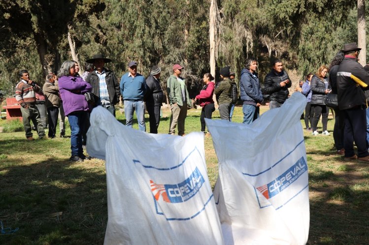 APOYO AL SECTOR CRIANCERO CONTINÚA CON LOS PEQUEÑOS PRODUCTORES AGROPECUARIOS DE LA SERENA