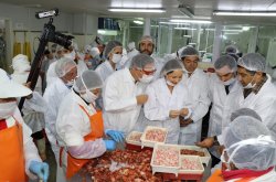 MEDIANAS, MICRO Y PEQUEÑAS EMPRESAS SERÁN LAS PRINCIPALES BENEFICIADAS CON MEDIDAS PARA REGULARIZAR DEUDAS TRIBUTARIAS