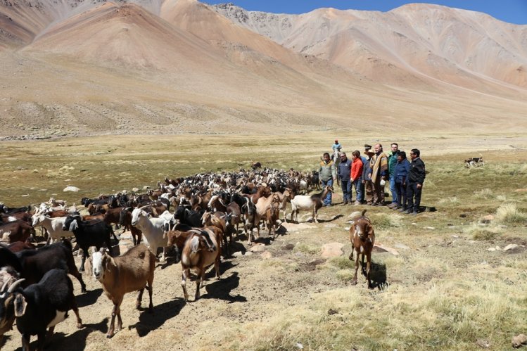 GOBIERNO ANUNCIA QUE ADELANTARÁ LAS VERANADAS HACIA LOS VALLES DE ARGENTINA