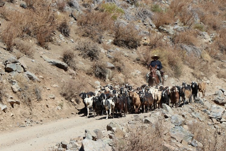 GOBIERNO ANUNCIA QUE ADELANTARÁ LAS VERANADAS HACIA LOS VALLES DE ARGENTINA