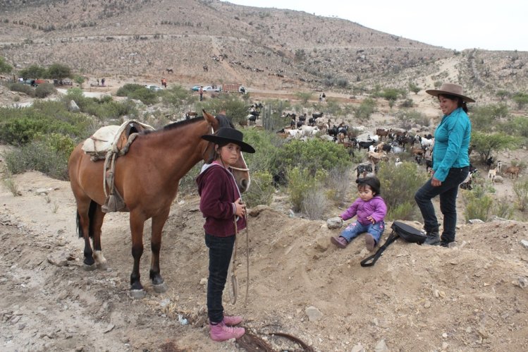 GOBIERNO PLANTEA SOLUCIONES ANTE MODIFICACIÓN DE LAS VERANADAS