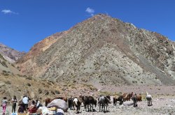 GOBIERNO PLANTEA SOLUCIONES ANTE MODIFICACIÓN DE LAS VERANADAS