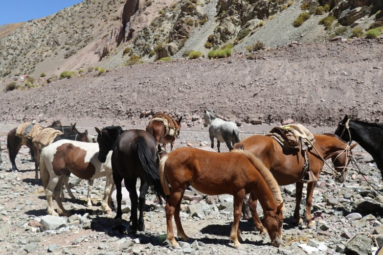 GOBIERNO PLANTEA SOLUCIONES ANTE MODIFICACIÓN DE LAS VERANADAS