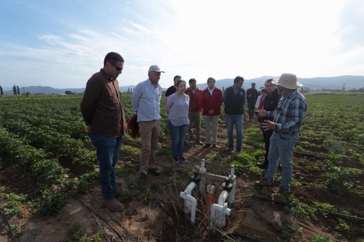 INDAP POTENCIA EL USO EFICIENTE DEL AGUA CON INAUGURACIÓN DE OBRA DE RIEGO TECNIFICADO EN COQUIMBO