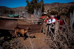 GOBIERNO ULTIMA DETALLES DE UN COMPLETO PLAN DE EMERGENCIA CONTRA LA SEQUÍA