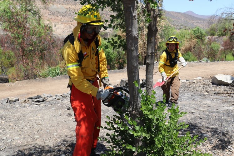 CON LA CONSIGNA “MÁS VALE PREVENIR QUE COMBATIR