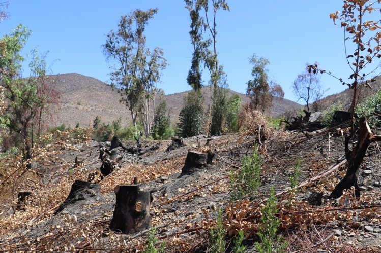 CON LA CONSIGNA “MÁS VALE PREVENIR QUE COMBATIR