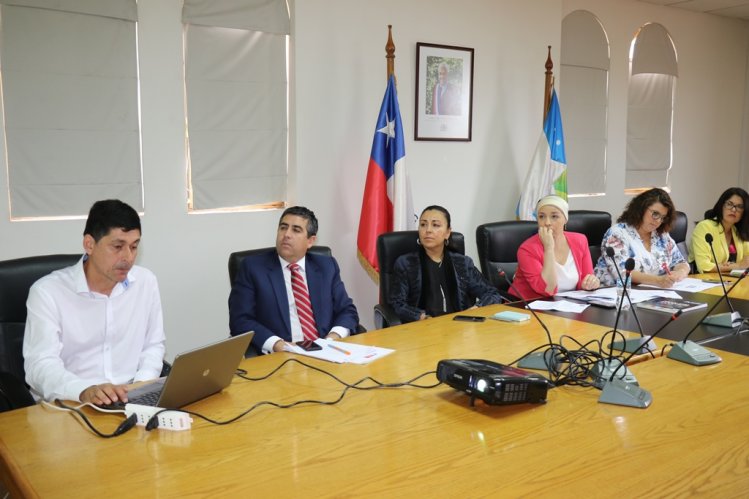 APRUEBAN DECLARACIÓN AMBIENTAL DE PARQUE FOTOVOLTAICO EN LOS VILOS