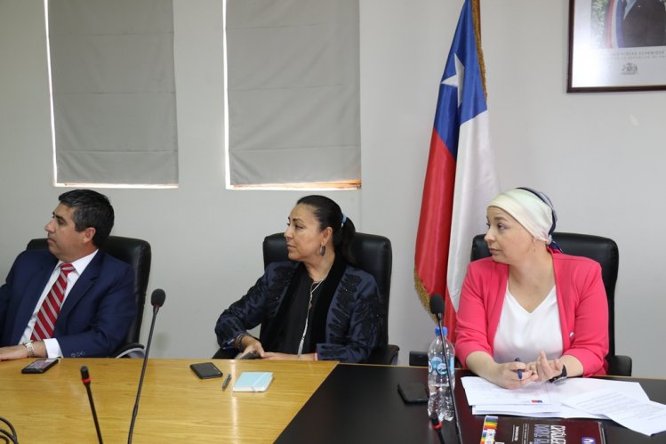 APRUEBAN DECLARACIÓN AMBIENTAL DE PARQUE FOTOVOLTAICO EN LOS VILOS