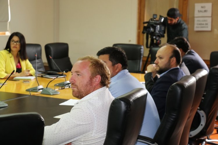 APRUEBAN DECLARACIÓN AMBIENTAL DE PARQUE FOTOVOLTAICO EN LOS VILOS