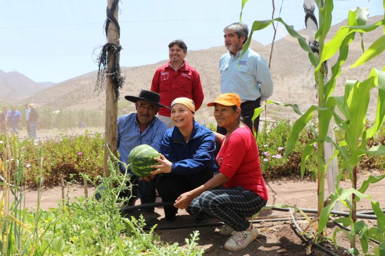 CERCA DE 8.500 PEQUEÑOS USUARIOS DE INDAP RECIBIRÁN RECURSOS PARA ENFRENTAR LOS EFECTOS DE LA SEQUÍA