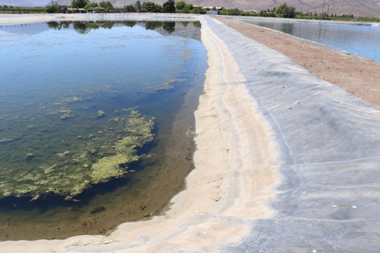 ENTREGAN BONOS DE RIEGO POR MÁS DE $136 MILLONES A REGANTES DE LA PROVINCIA DEL LIMARÍ