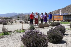 INVITAN A EMPRENDEDORES A POSTULAR A LAS LÍNEAS DE FINANCIAMIENTO DE SERCOTEC