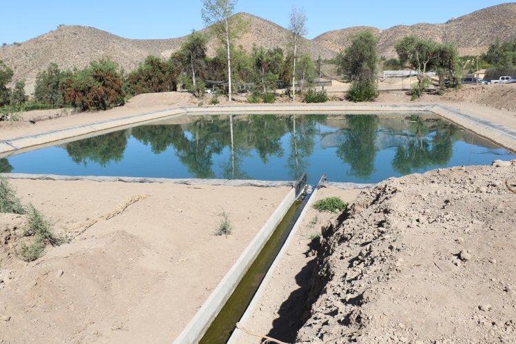 DESTINARÁN MÁS DE $1000 MILLONES PARA FINANCIAR PROYECTOS DE TECNIFICACIÓN DE RIEGO EN LA REGIÓN