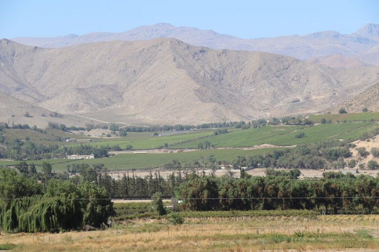 DESTINARÁN MÁS DE $1000 MILLONES PARA FINANCIAR PROYECTOS DE TECNIFICACIÓN DE RIEGO EN LA REGIÓN