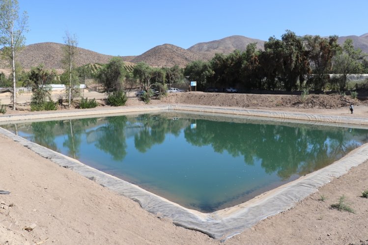 DESTINARÁN MÁS DE $1000 MILLONES PARA FINANCIAR PROYECTOS DE TECNIFICACIÓN DE RIEGO EN LA REGIÓN