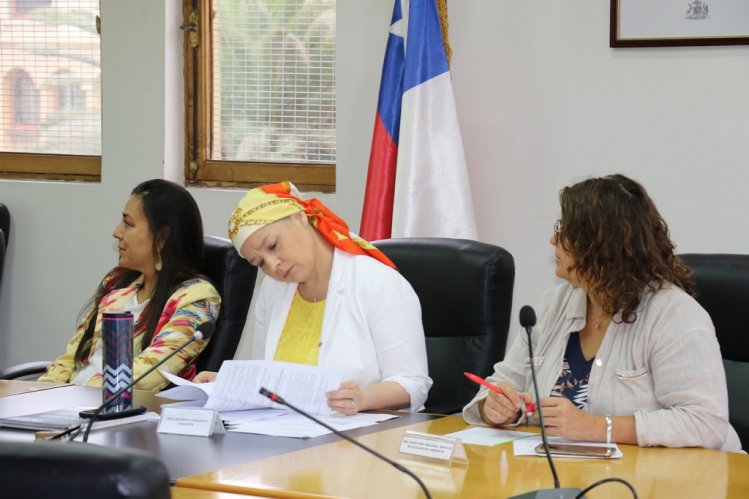 APRUEBAN DOS PROYECTOS DE INVERSIÓN PARA LIMARÍ Y CHOAPA