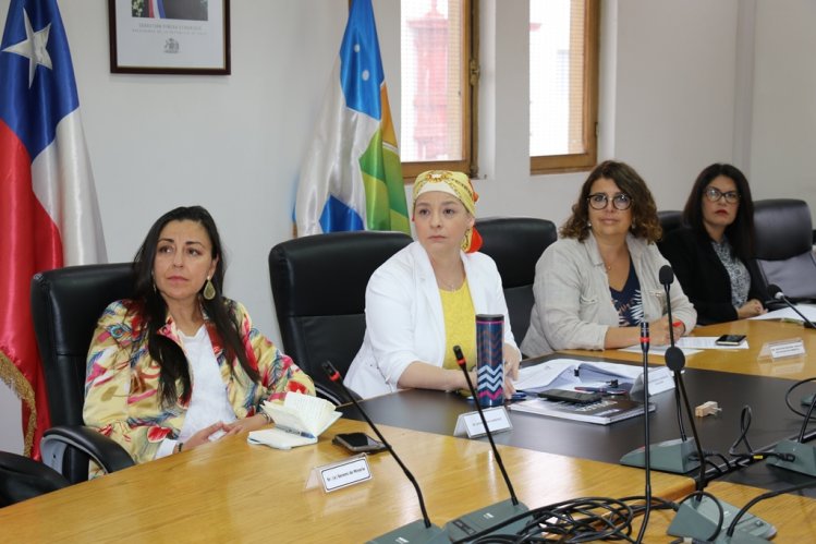 APRUEBAN DOS PROYECTOS DE INVERSIÓN PARA LIMARÍ Y CHOAPA