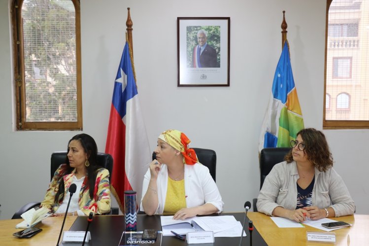 APRUEBAN DOS PROYECTOS DE INVERSIÓN PARA LIMARÍ Y CHOAPA