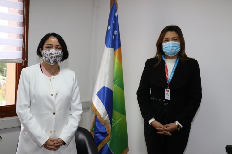 Saludos Protocolares a gobernadora Regional