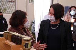 Gobierno Regional y Sercotec abren las postulaciones para fortalecer emprendimientos en Zonas Rezagadas