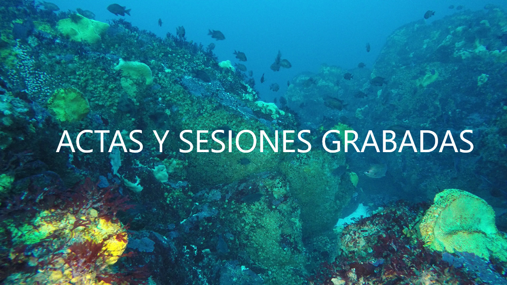 Imagen foto_00000037