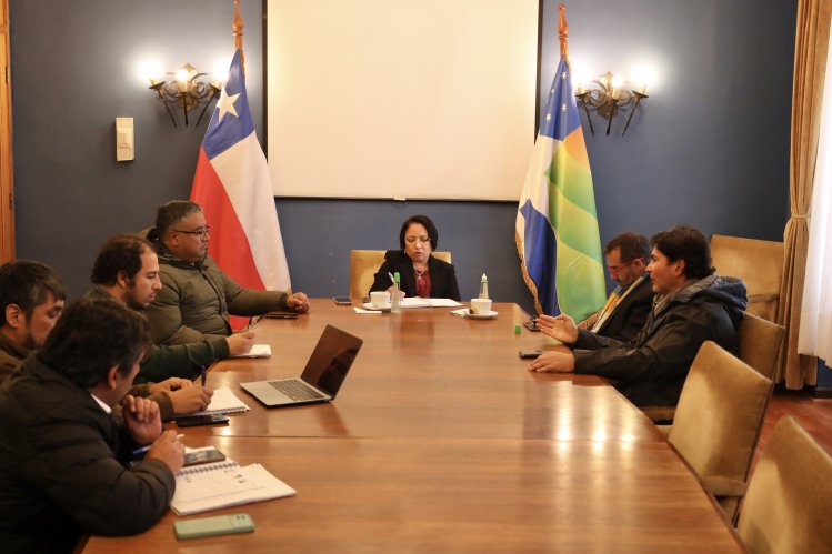 GOBERNADORA Y SEREMI DEL MINVU AVANZAN EN PROYECTO DE VIVIENDA PARA FUNCIONARIOS PÚBLICOS