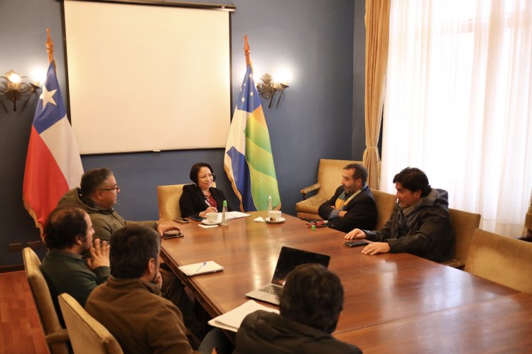 GOBERNADORA Y SEREMI DEL MINVU AVANZAN EN PROYECTO DE VIVIENDA PARA FUNCIONARIOS PÚBLICOS