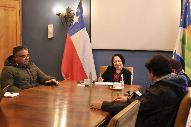 GOBERNADORA Y SEREMI DEL MINVU AVANZAN EN PROYECTO DE VIVIENDA PARA FUNCIONARIOS PÚBLICOS