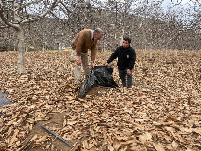 SALAMANQUINOS RECIBEN ASESORÍA PARA MEJORAR SUS SISTEMAS DE RIEGO Y REALIZAR UN USO EFICIENTE DEL AGUA