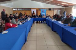 Proyecto de desparasitación cubrirá a 200 mil cabezas de ganado caprino para las veranadas 2024-2025