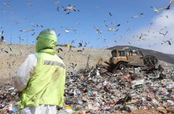 Gobierno Regional prioriza compra de maquinarias por más de $1.033 millones para municipios de Vicuña e Illapel