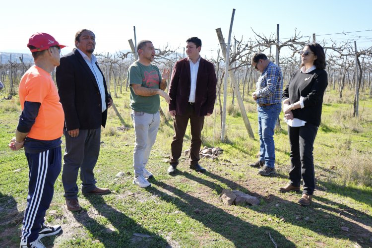 Recursos regionales permitirán mejorar la infraestructura de riego con foco en la pequeña agricultura