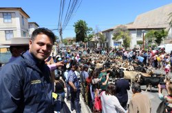 Illapel celebra la XIV versión del Día del Trashumante y Criancero Caprino