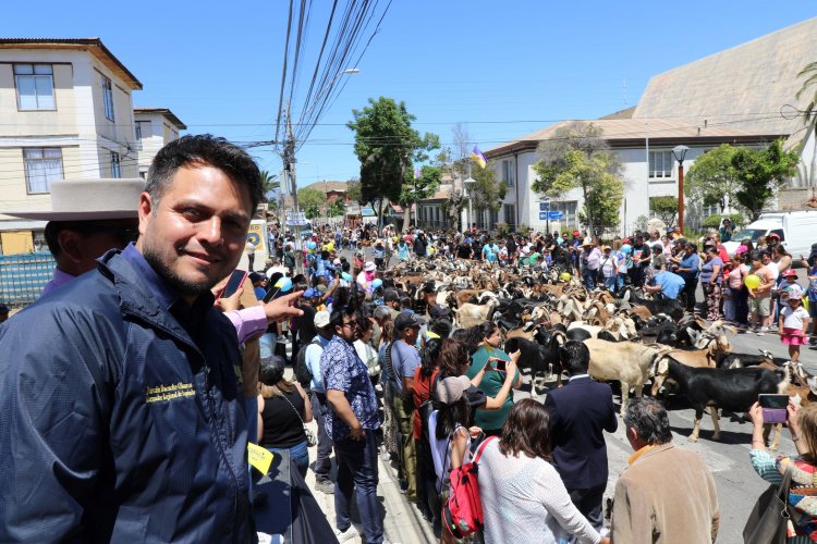 Illapel celebra la XIV versión del Día del Trashumante y Criancero Caprino