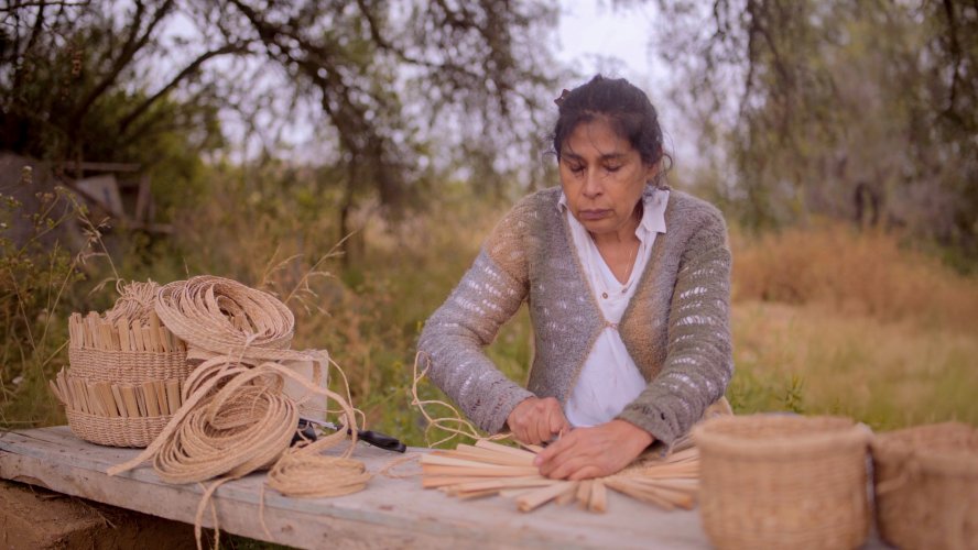 NTV y Fundación Artesanías de Chile estrenan nueva temporada de microserie sobre artesanía tradicional de la Región de Coquimbo