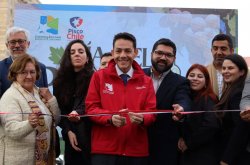 Chile brinda por su tradición: Día Nacional del Pisco celebra identidad, cultura y futuro del destilado nacional